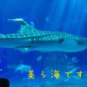 ヒメ日記 2025/04/07 21:46 投稿 なえ 奥鉄オクテツ兵庫