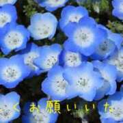 ヒメ日記 2025/04/21 07:28 投稿 なえ 奥鉄オクテツ兵庫