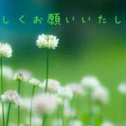 ヒメ日記 2025/04/26 09:22 投稿 なえ 奥鉄オクテツ兵庫
