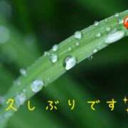 ヒメ日記 2025/04/28 11:58 投稿 なえ 奥鉄オクテツ兵庫