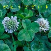 ヒメ日記 2025/05/16 07:04 投稿 なえ 奥鉄オクテツ兵庫