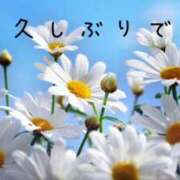 ヒメ日記 2025/07/09 07:36 投稿 なえ 奥鉄オクテツ兵庫