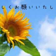 ヒメ日記 2025/07/30 12:01 投稿 なえ 奥鉄オクテツ兵庫