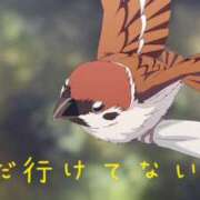 ヒメ日記 2025/08/08 16:11 投稿 なえ 奥鉄オクテツ兵庫