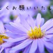 ヒメ日記 2025/09/09 13:55 投稿 なえ 奥鉄オクテツ兵庫