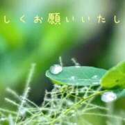 ヒメ日記 2025/09/11 09:23 投稿 なえ 奥鉄オクテツ兵庫