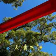 ヒメ日記 2025/10/12 13:11 投稿 なえ 奥鉄オクテツ兵庫