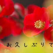 ヒメ日記 2026/01/13 12:45 投稿 なえ 奥鉄オクテツ兵庫