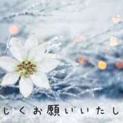 ヒメ日記 2026/01/31 08:30 投稿 なえ 奥鉄オクテツ兵庫
