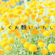 ヒメ日記 2026/05/07 09:37 投稿 なえ 奥鉄オクテツ兵庫