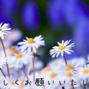 なえ ご予約さまへ 奥鉄オクテツ兵庫