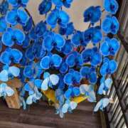 ヒメ日記 2025/10/06 11:12 投稿 りんか 加古川10,000円ポッキー