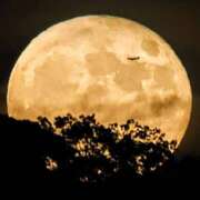 ヒメ日記 2025/11/05 12:55 投稿 りんか 加古川10,000円ポッキー