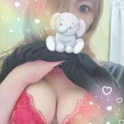 ヒメ日記 2026/02/12 22:20 投稿 れお One More 奥様　錦糸町店