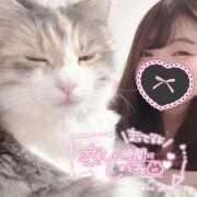 ヒメ日記 2024/12/15 22:32 投稿 あおい サンキュー町田・相模原店