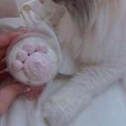 ヒメ日記 2025/02/23 21:32 投稿 あおい サンキュー町田・相模原店