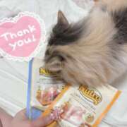 ヒメ日記 2025/02/24 22:40 投稿 あおい サンキュー町田・相模原店