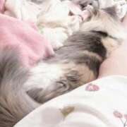 ヒメ日記 2025/03/10 19:46 投稿 あおい サンキュー町田・相模原店