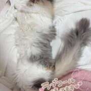 あおい どっちに埋もれる？💖 サンキュー町田・相模原店