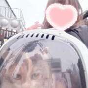 あおい ニャンの日🐈 サンキュー町田・相模原店