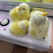 ヒメ日記 2024/12/27 23:59 投稿 まみ サンキュー町田・相模原店