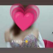 ヒメ日記 2026/07/17 07:41 投稿 加藤　さつき スッキリ商事