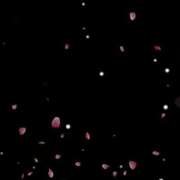 ヒメ日記 2026/04/24 20:39 投稿 ひまり Mrs.Rufeーミセスルーフー