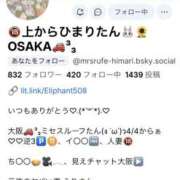 ヒメ日記 2026/04/28 09:49 投稿 ひまり Mrs.Rufeーミセスルーフー