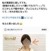 ヒメ日記 2026/05/05 07:29 投稿 ひまり Mrs.Rufeーミセスルーフー