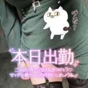 ヒメ日記 2026/05/15 17:19 投稿 ひまり Mrs.Rufeーミセスルーフー