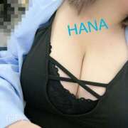 ヒメ日記 2025/02/10 12:39 投稿 はな Mrs.Rufeーミセスルーフー