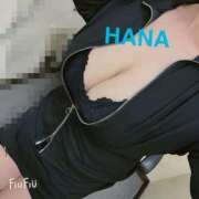 ヒメ日記 2025/02/20 14:59 投稿 はな Mrs.Rufeーミセスルーフー