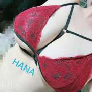 ヒメ日記 2025/03/05 14:09 投稿 はな Mrs.Rufeーミセスルーフー