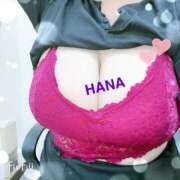 ヒメ日記 2025/03/28 16:09 投稿 はな Mrs.Rufeーミセスルーフー