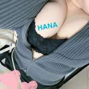 ヒメ日記 2025/04/08 13:09 投稿 はな Mrs.Rufeーミセスルーフー