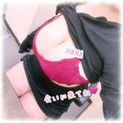 ヒメ日記 2025/06/11 14:09 投稿 はな Mrs.Rufeーミセスルーフー