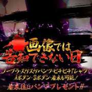 ヒメ日記 2023/12/16 04:45 投稿 アンズ ドMなバニーちゃん和歌山店