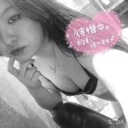 ヒメ日記 2024/12/10 10:35 投稿 きょん 新宿サンキュー