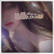 ヒメ日記 2026/01/25 06:12 投稿 きょん 新宿サンキュー