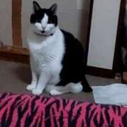 ヒメ日記 2025/11/19 20:14 投稿 青木りさ子 五十路マダム 浜松店(カサブランカグループ)