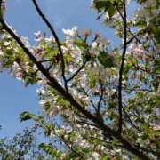 ヒメ日記 2025/04/11 22:08 投稿 ねね スポコスkunkakunka