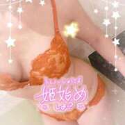 ヒメ日記 2025/01/09 12:18 投稿 南里(なんり) 相模原人妻城