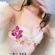 ヒメ日記 2025/02/16 15:48 投稿 南里(なんり) 相模原人妻城