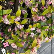 ヒメ日記 2025/03/24 13:18 投稿 南里(なんり) 相模原人妻城