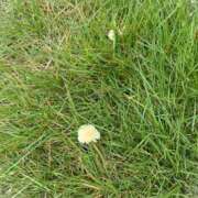 ヒメ日記 2025/07/16 13:06 投稿 南里(なんり) 相模原人妻城