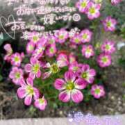 ヒメ日記 2026/03/10 12:57 投稿 南里(なんり) 相模原人妻城