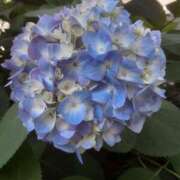 ヒメ日記 2025/05/28 13:13 投稿 いちか 完熟ばなな西川口