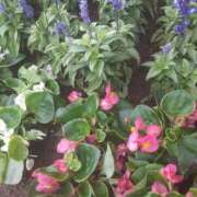 ヒメ日記 2025/06/04 12:43 投稿 いちか 完熟ばなな西川口