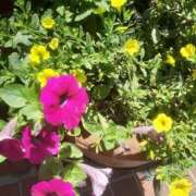 ヒメ日記 2025/06/17 13:13 投稿 いちか 完熟ばなな西川口