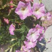 ヒメ日記 2025/08/05 14:43 投稿 いちか 完熟ばなな西川口